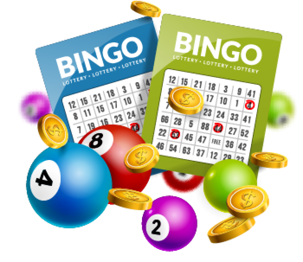 bingo online free
