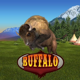 Buffalo